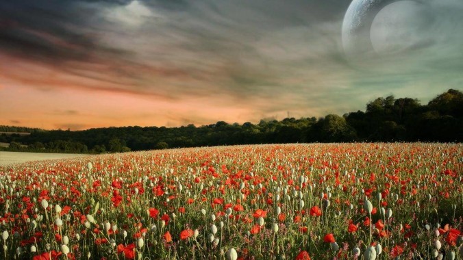 你去过最离谱的景区是什么？